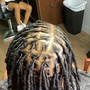 Tiny locs starter locs