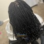 Soft Locs mid-back 14” -18”