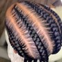 Adult Medium feed in Braids