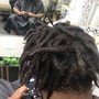 Root Touch Up