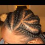 2-4 Braids