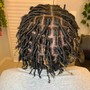 Starter Locs Maintenance