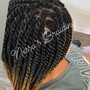 Box Braids/Twists with natural hair