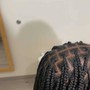 Tree Braids