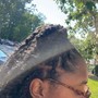 Tree Braids