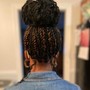 Feed In Bun/ Ponytail (Boho Curls)