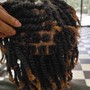 Medium Starter locs (2strand method)