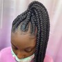 Cornrow Braids/two strand twist in the back