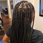 Poetic Justice Braids