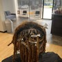 Starter Dreadlocks