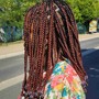 Tree Braids