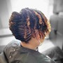 Flat Twist/Braids/2-Strand Twist Combo