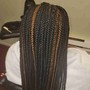 Box Braids