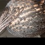 2 - 4 Feed-In Braids