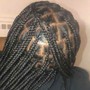 Two Strand Twists