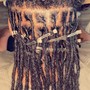 Loc Maintenance Retwist