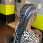 6 Feed-in Braids