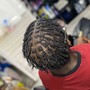 Comb Twist ( starter locs)