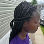 2 Braids Natural Hair