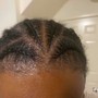 2 -6 Feed In Braids