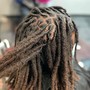 Shampoo, Loc Re-twist