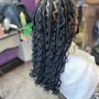 Havana Twists