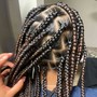 2 feed-in braids