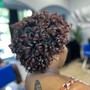 Root Touch Up