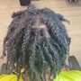 Adult Starter locs