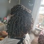 Large Passion Twists mid back