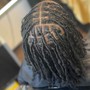 Starter Locs