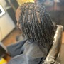 Starter Locs