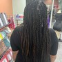 Medium Senegalese Twist