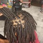 Starter Locs