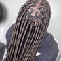 Passion Twists (Butt Length)