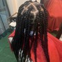 Box Braids (Large)