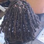 Soft Locs /Senegalese Twist