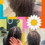 Starter Locs