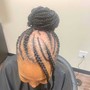 Bob Passion Twists