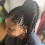 Small Braids UpDo Pony