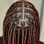 Medium Kid's Braids with beads