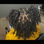 Starter Locs Coils