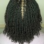 Micro Locs