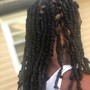 Loc Extensions(on mature locs)