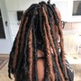 Starter Locs