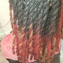 Loc  retwist and style on maintenanced hair