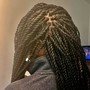 Senegalese Twist Medium