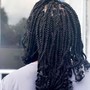 Senegalese Twist Medium