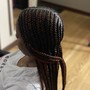 Medium 1 layer of Braids/Straight Braids to the back