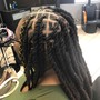 Starter Locs (FULLHEAD)